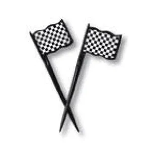 Checkered Flag Jumbo Party Picks, 3.5" | 12 ct