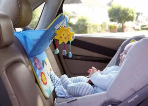 East Coast Nursery 'Say Hello' Car Activity Toy