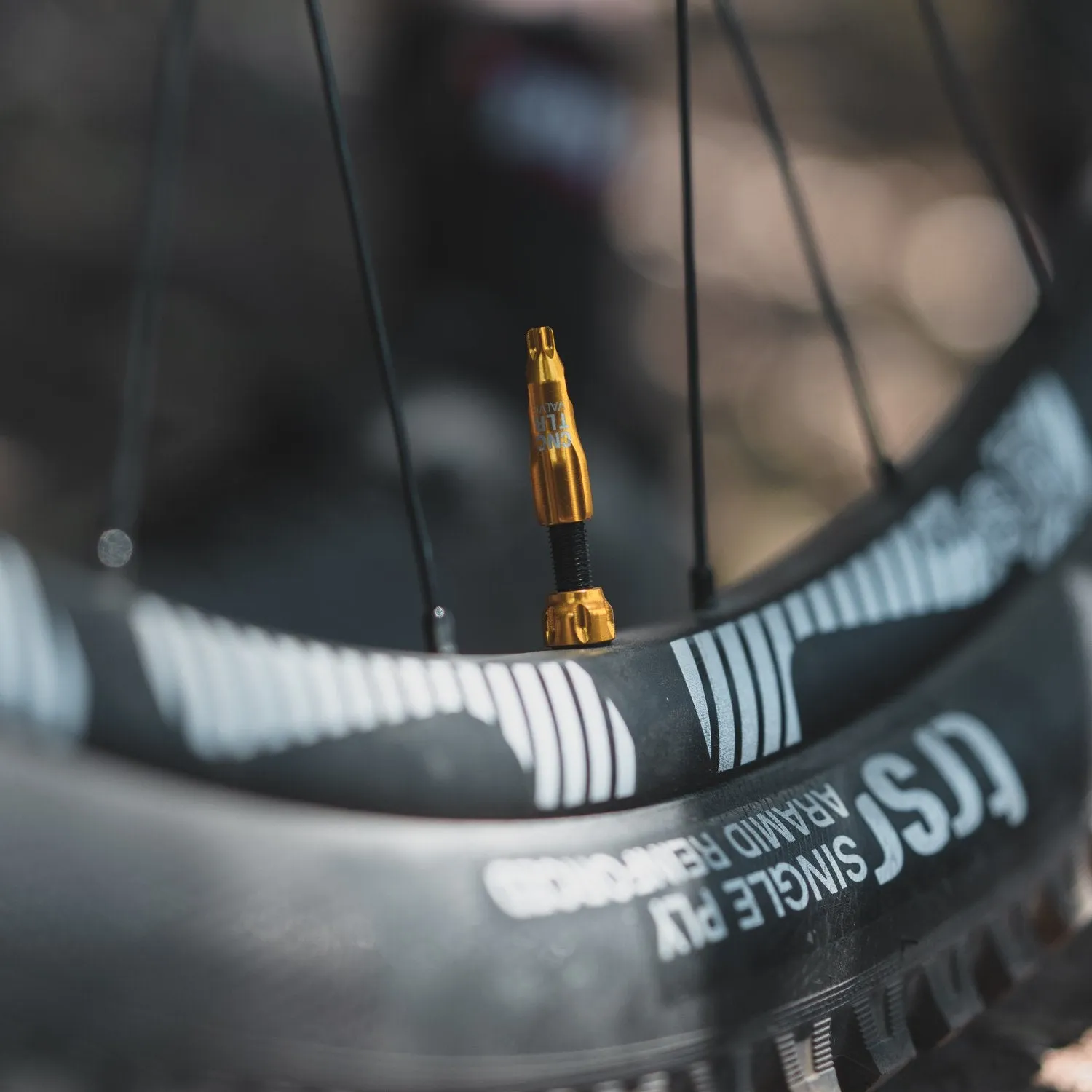 Lezyne Tlr Tubeless Valve Presta 44Mm Gold