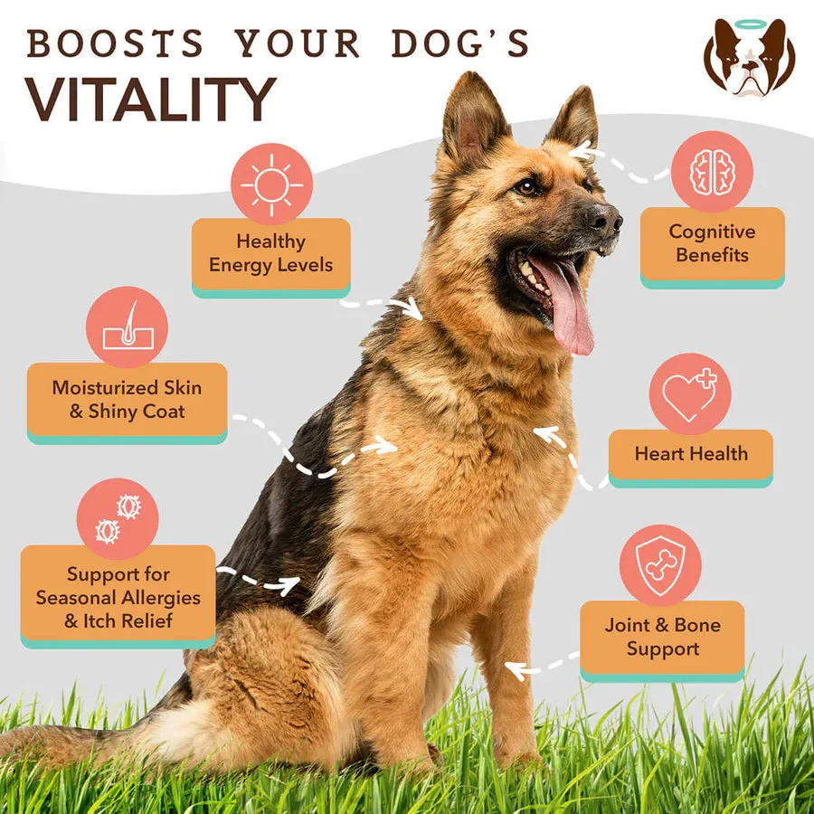 Natural Dog Company Wild Alaskan Salmon Oil Dog Supplement - Wholesale