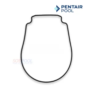 Pentair Seal Plate Gasket For Whisperflo And Intelliflo Pump | Black | 357100