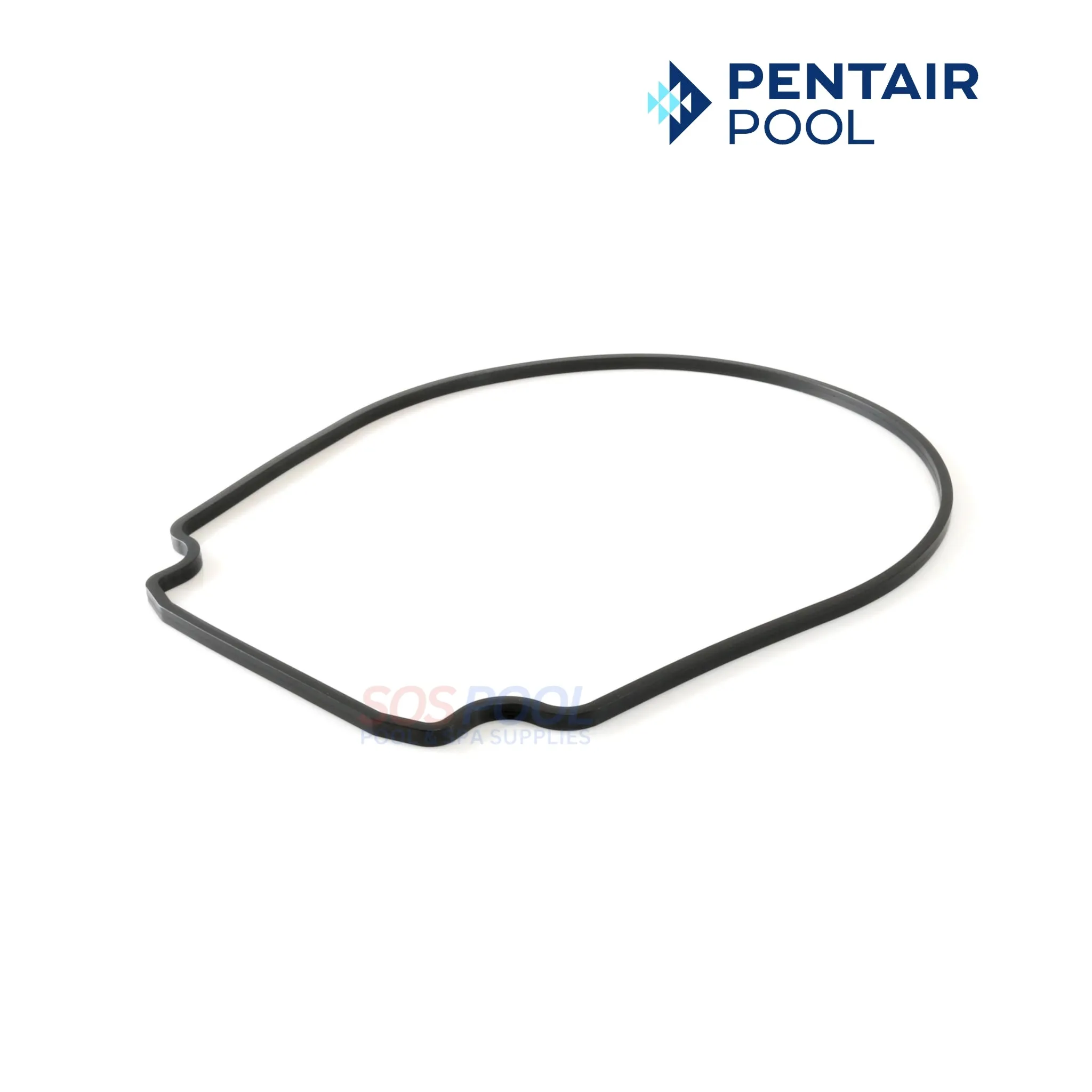 Pentair Seal Plate Gasket For Whisperflo And Intelliflo Pump | Black | 357100