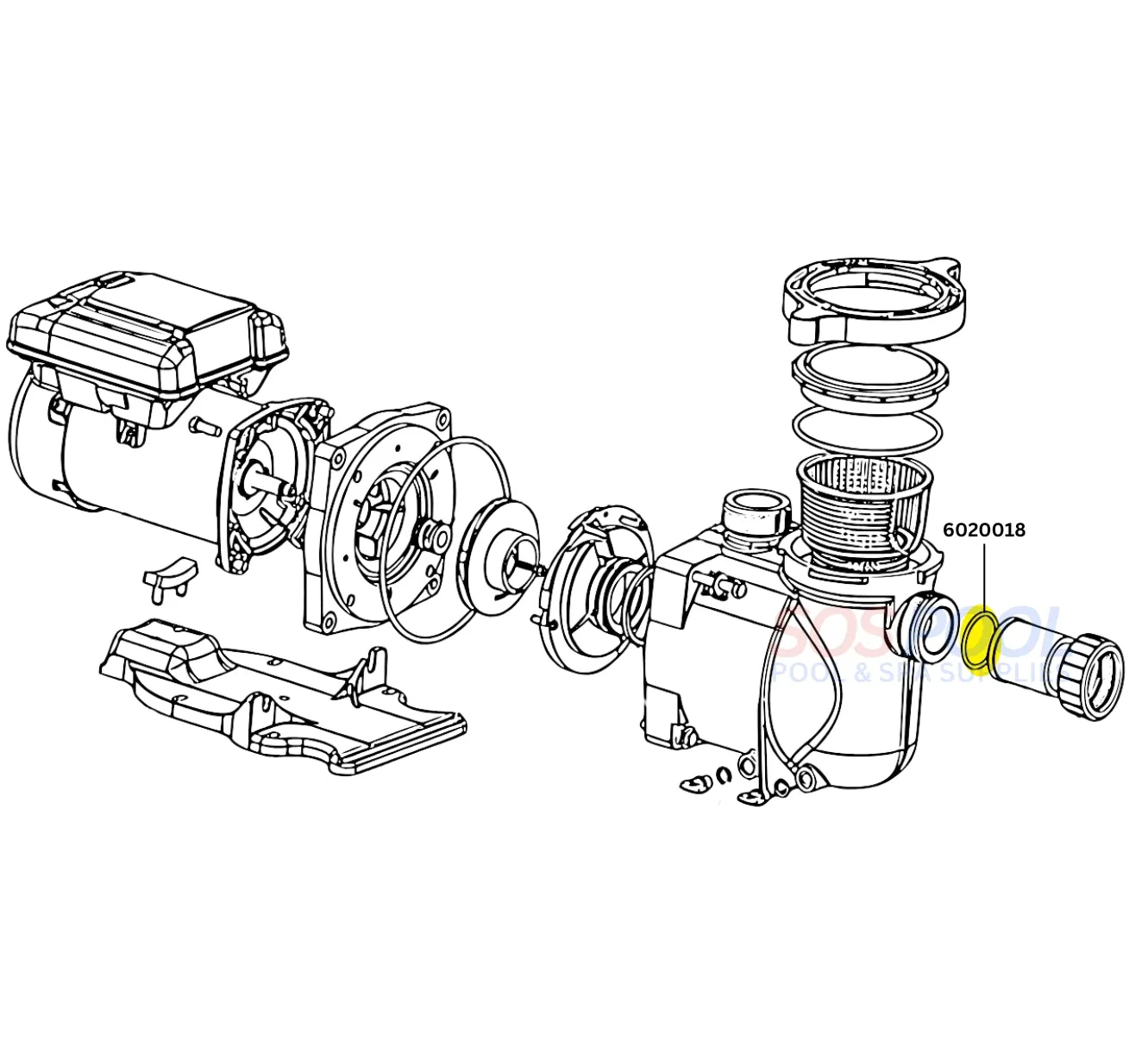 Pentair Union O-Ring For SuperMax and SuperFlo Pumps | 6020018