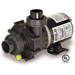 Speck E75 3/4 HP 1 Speed Pump SP202-1075T-000